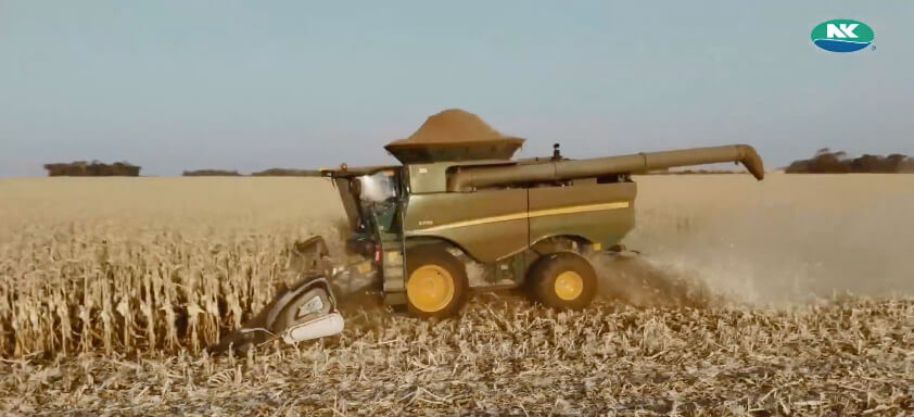 Máquina colhendo milho