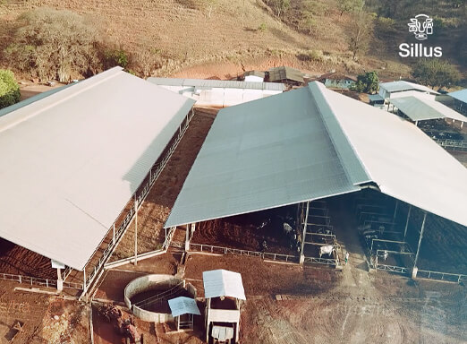 Imagem aérea de edificações em uma propriedade rural.
