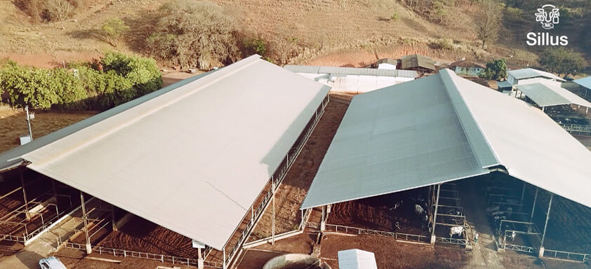 Imagem aérea de edificações em uma propriedade rural.