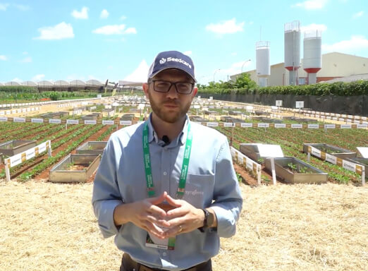 Técnico em frente a uma lavoura