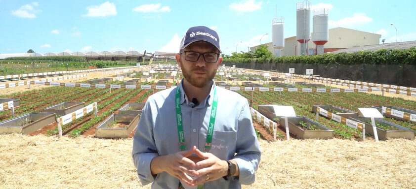 Técnico em frente a uma lavoura