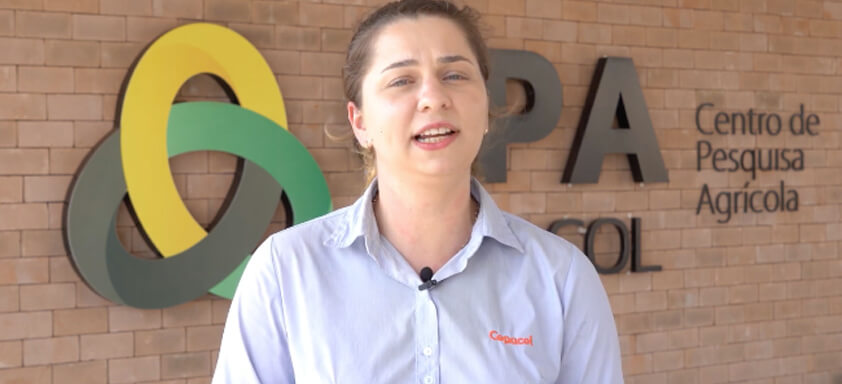 Pesquisadora Gabrielle Hoelscher