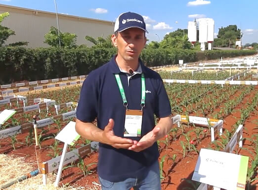 Gustavo Busato, DTM de Seedcare