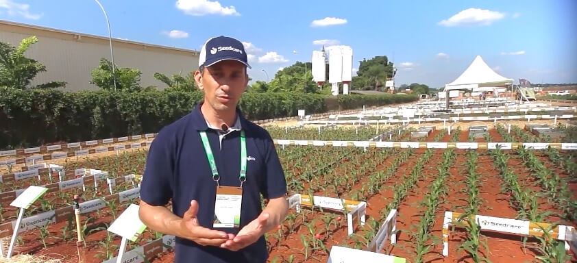 Gustavo Busato, DTM de Seedcare