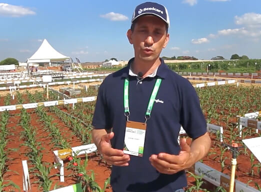 Gustavo Busato, DTM Seedcare Syngenta
