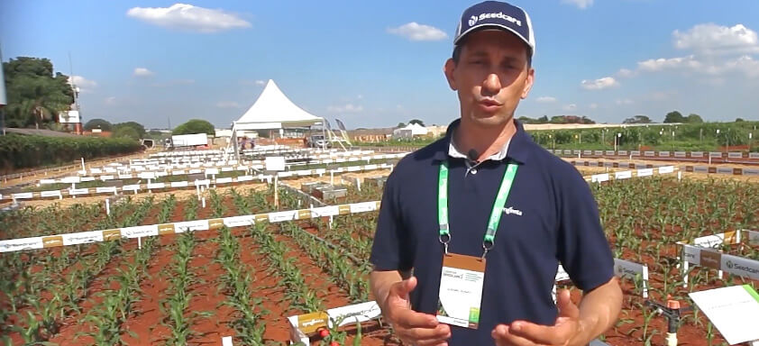 Gustavo Busato, DTM Seedcare Syngenta