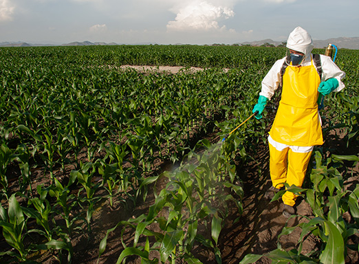 Aplicação de defensivos na lavoura