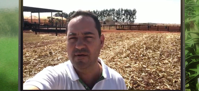 Especialista Luís Carregal