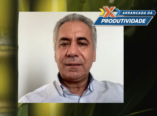 Hilário Gonçalves, Consultor em Estratégias de Produtividade Agrícola