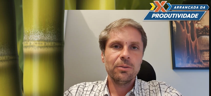 Nilceu Cardozo, Consultor da Canaplan