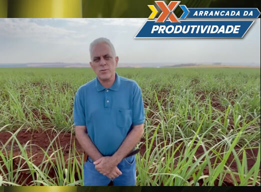 Renato Rosa, Gerente de Planejamento e Des. Técnico do Vale do Verdão