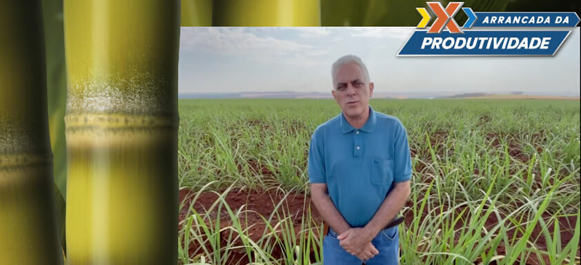 Renato Rosa, Gerente de Planejamento e Des. Técnico do Vale do Verdão