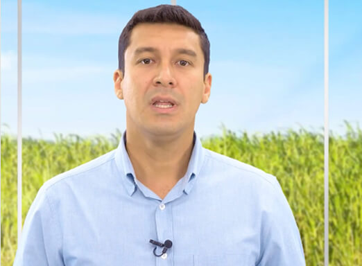 Engenheiro agrônomo da Syngenta, Welder Fuzita