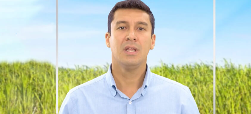 Engenheiro agrônomo da Syngenta, Welder Fuzita