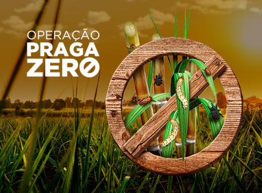 Operação Praga Zero Cana
