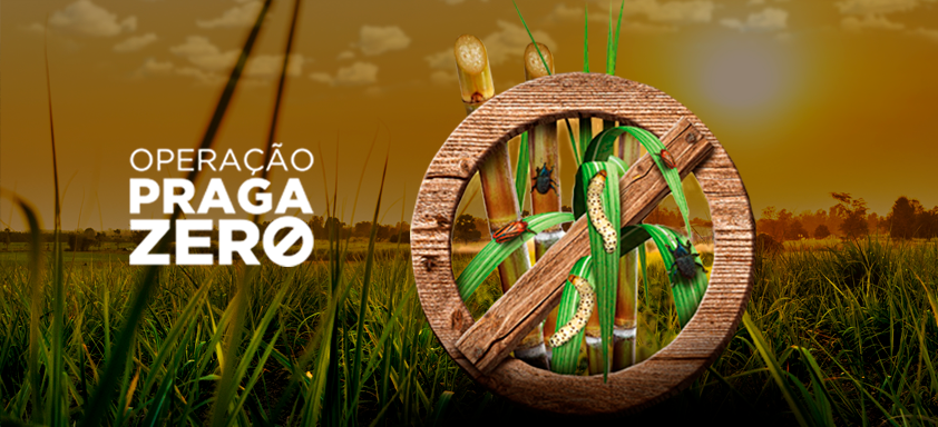 Operação Praga Zero Cana