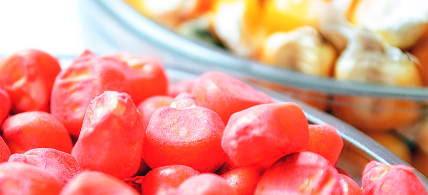 Tratamento de Sementes Milho