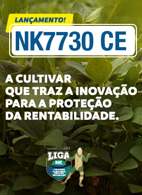Banner da semente de milho NK 7730 CE