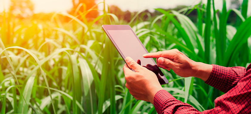 Agricultura digital no campo