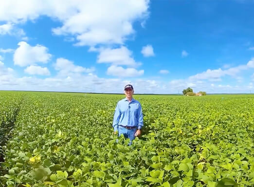 Produtor em lavoura de soja