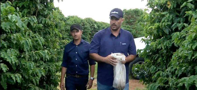 Cafeicultor e agrônomo da Syngenta em cafezal