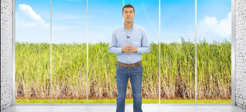 Engenheiro agrônomo Welder Fuzita