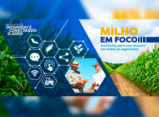 Milho em Foco