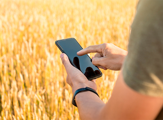 Soluções digitais no campo