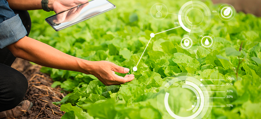 Agricultura digital