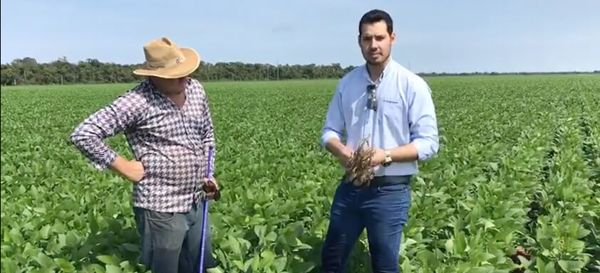 Produtor e colaborador da Syngenta em lavoura de soja