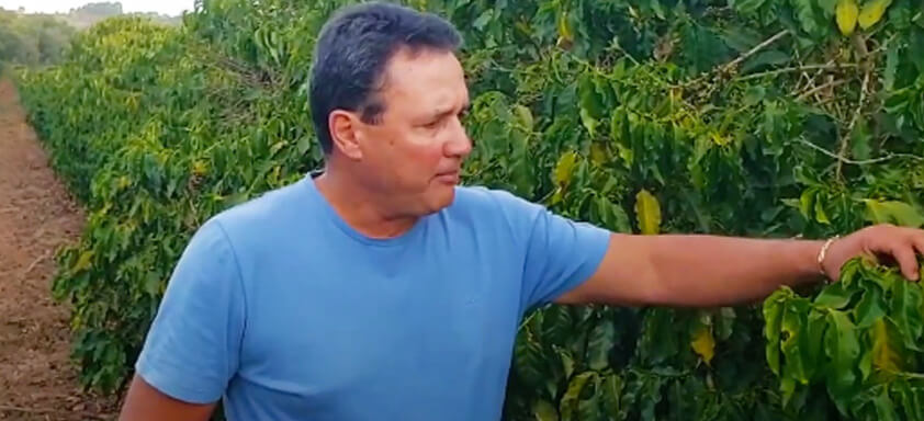 Produtor de café Franco Borges