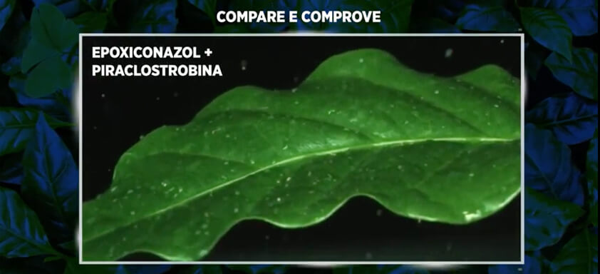 Comparativo da retenção do fungicida Invict
