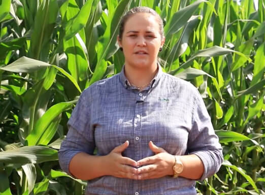 Pesquisadora e consultora Giselly Santos