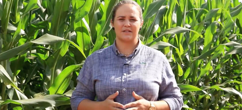 Pesquisadora e consultora Giselly Santos