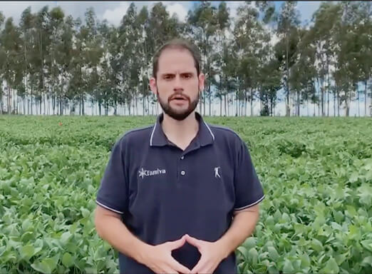 Fernando Grigoli, sócio e pesquisador da Famiva