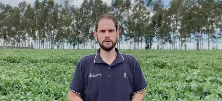 Fernando Grigoli, sócio e pesquisador da Famiva