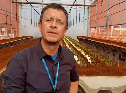 Gerente do Seedcare Institute da Syngenta, José Veiga