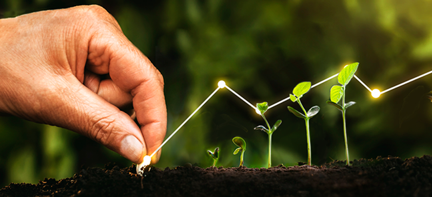 Rentabilidade do produtor