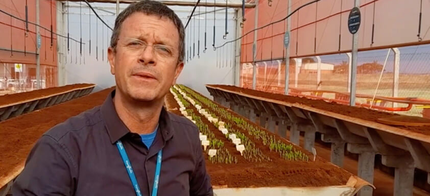 Gerente do Seedcare Institute da Syngenta, José Veiga