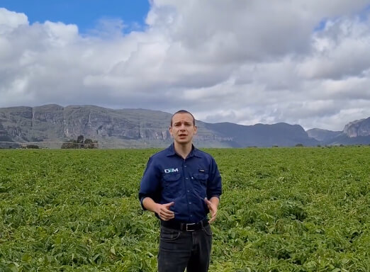 DTM da Syngenta Federico Villasanti