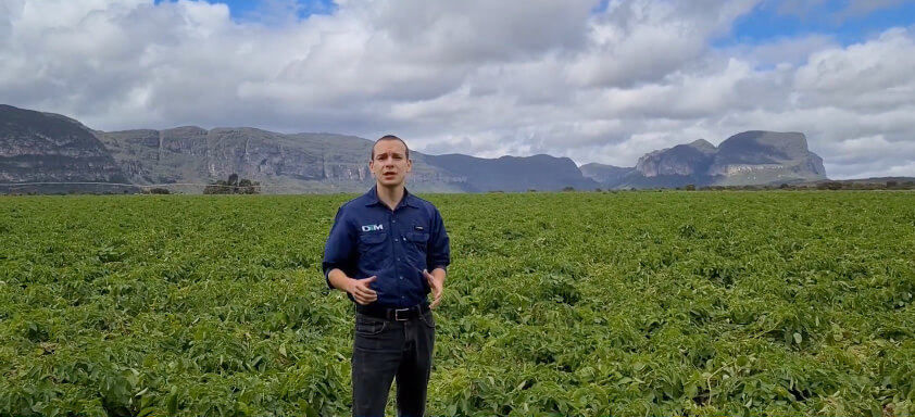 DTM da Syngenta Federico Villasanti