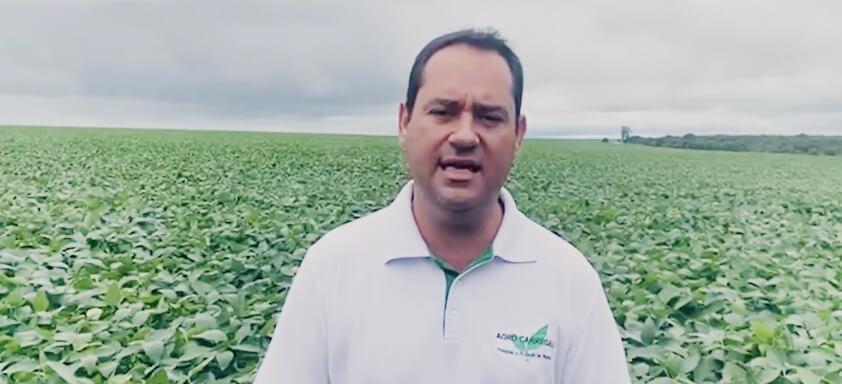 Fitopatologista Luis Henrique Carregal