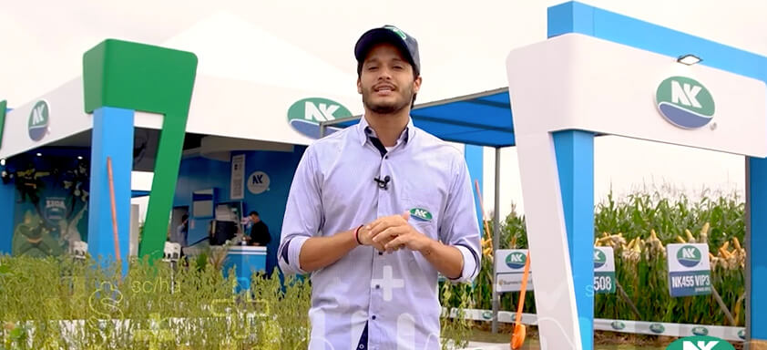 João Carvalho, analista de comunicação da Syngenta