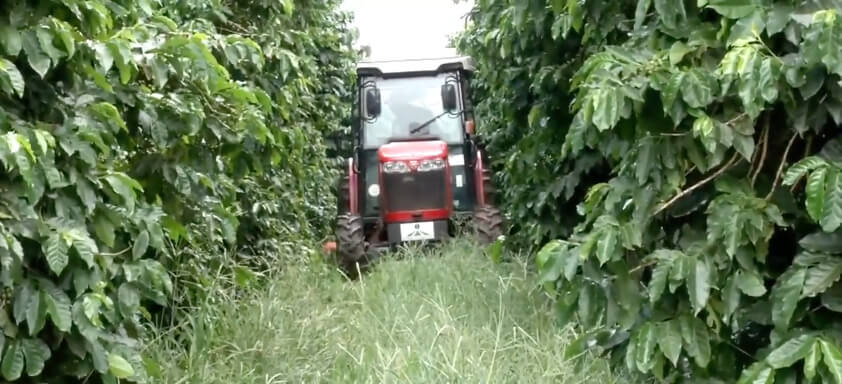 Maquinário em cafezal
