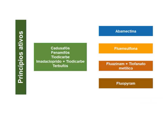 Ilustração sobre Controle Químico de Nematoides