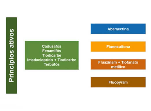 Imagem sobre controle químico de nematoides