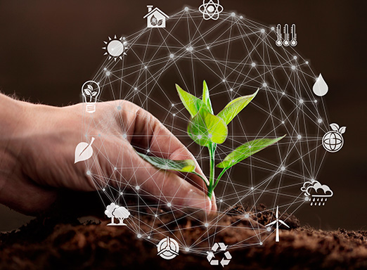 Créditos de carbono