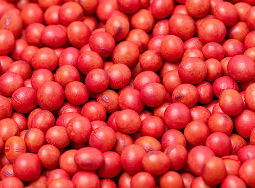 Tratamento de Sementes