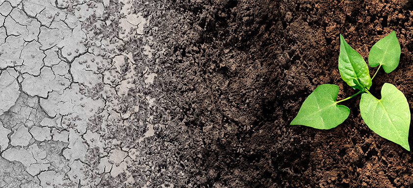 Crise hídrica