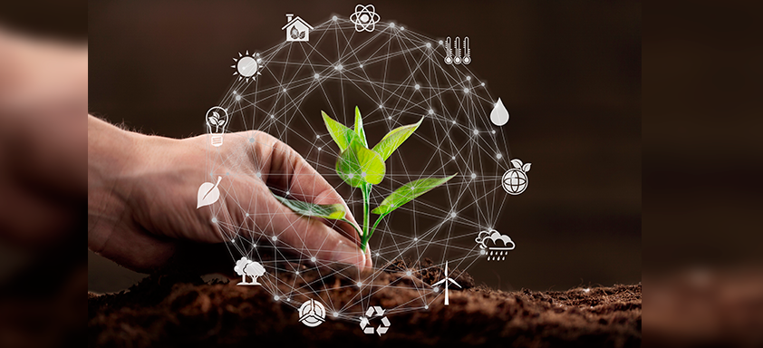 Créditos de carbono